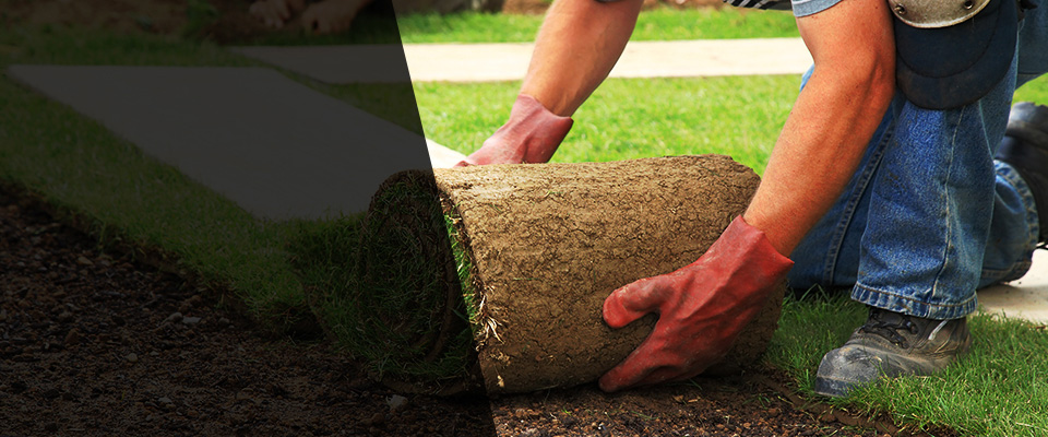 Long Beach Landscapers